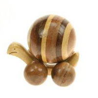 Small mixed wood snail