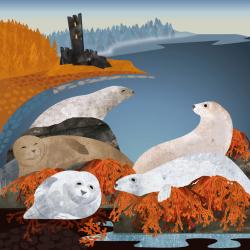 Greetings card "Seals and Scottish Castle" 15 x 15cm