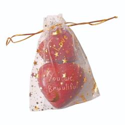 2 Heart Shaped Pebbles in Gift Bag