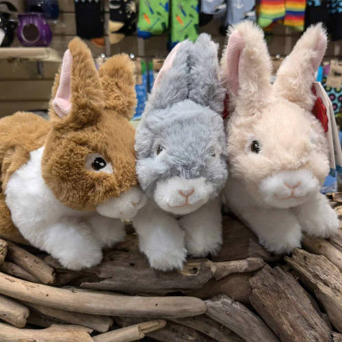 New Eco Soft Toys