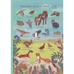 Greetings card "British Moorland Life" 12x17cm