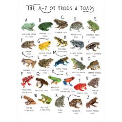 Greetings card "A-Z of Frogs & Toads" 12x17cm