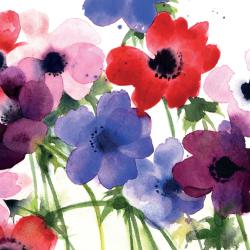 Greetings card "Anemones" 16x16cm