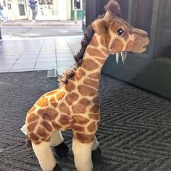 Giraffe - Eco Soft Toy