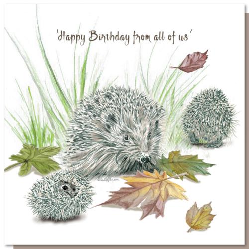 Greetings card, happy birthday hedgehogs