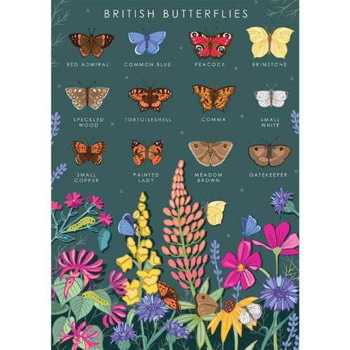 Greetings card "British butterflies" 12x17cm