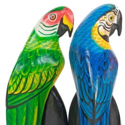 Parrot Albesia Wood Assorted Colours 6x10cm