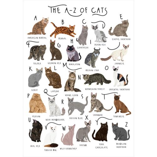 Greetings card "A-Z of cats" 12x17cm