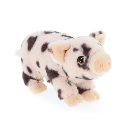 Spotty Pig - Eco Soft Toy