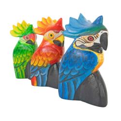 Cockatoo Albesia Wood Assorted Colours 6x10cm
