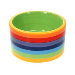 Rainbow dog bowl