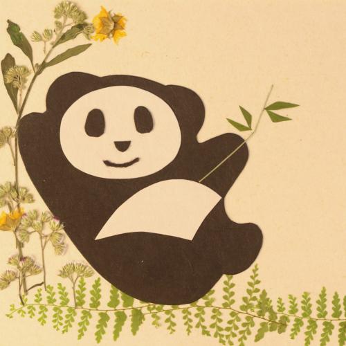 Handmade Card, Panda 12x12cm