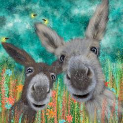 Greetings Card, Donkeys and Fireflies, 16x16cm