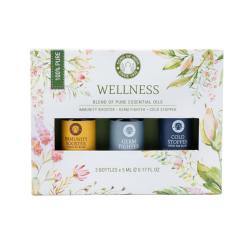 Aromatherapy Oils Wellness Collection 3 x 5ml