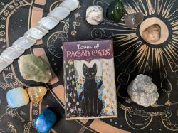 Tarot Cards – Pagan Cats Mini