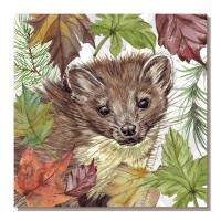 Greetings card, pine marten