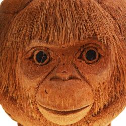 Coconut planter orangutan