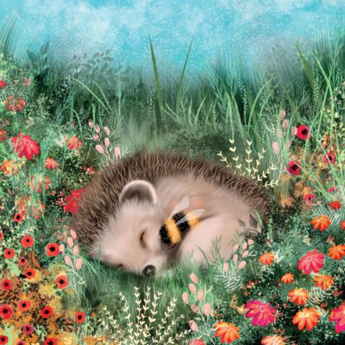 Greetings Card, Hedgehog Cuddles, 16x16cm