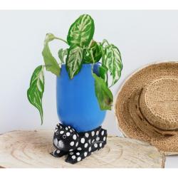 Planter or Bottle Holder on Cat Stand Albesia Wood 22x12x20cm