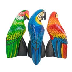Parrot Albesia Wood Assorted Colours 6x10cm