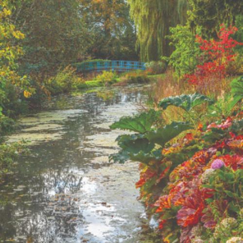 Greetings card "Thenford Gardens and Arboretum" 16x16cm