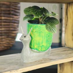 Planter or Bottle Holder on Snail Stand Albesia Wood 22x12.5x16cm