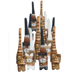 Box of 60 Cats Albesia Wood Assorted Browns