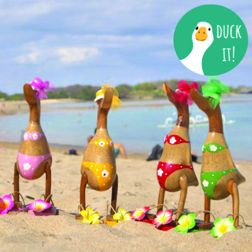 Wooden Ducks